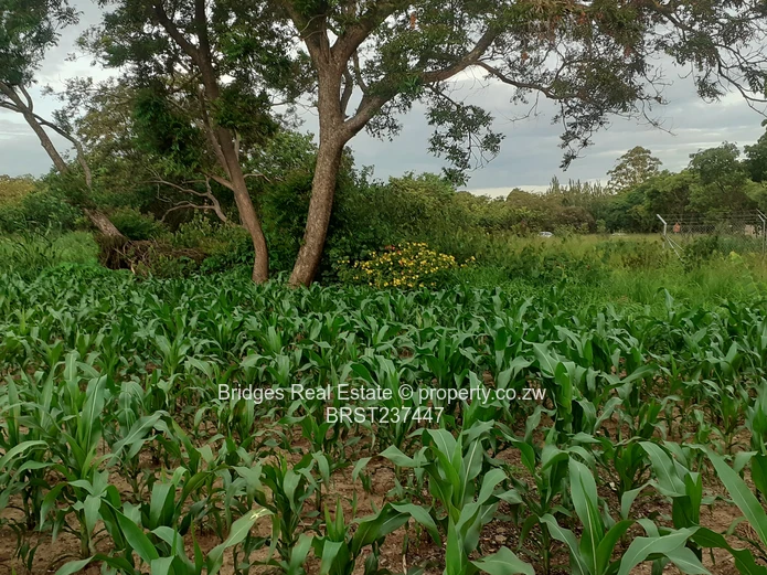 Residential infill stands with Title Deeds