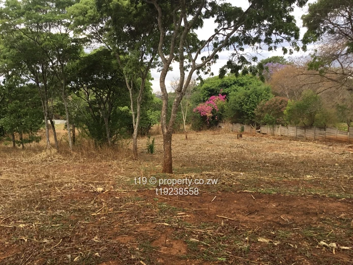 Development Opportunity 