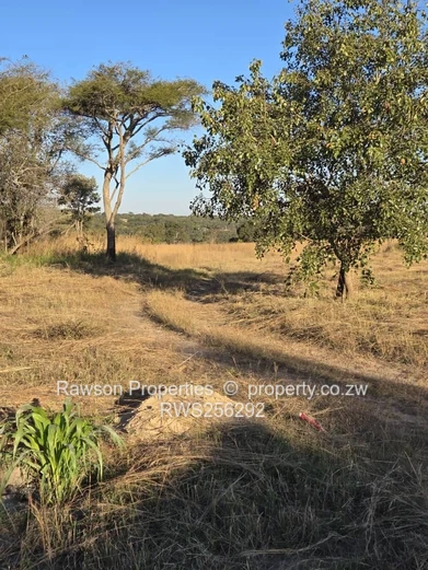 Marondera Meadow Springs Stands for Sale