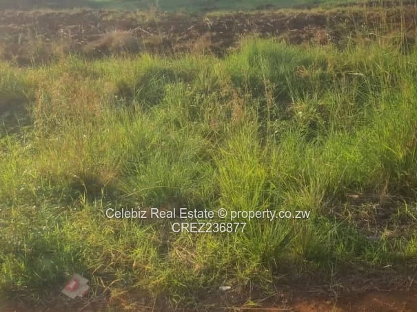 Mt Pleasant Heights cottage for sale 