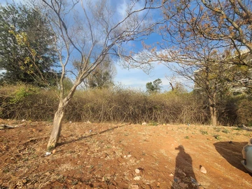 Commercial & Industrial Land