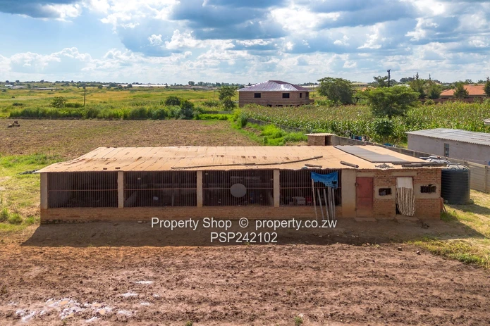 Endless Possibilities In Glaudina