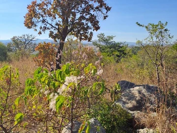 Nyanga Juliasdale 1ha plots for holiday homes. 20k , balance 8months