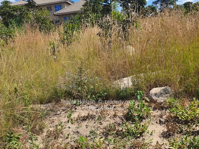 1000m² Stand in Crowhill Views — Gravel Road Access