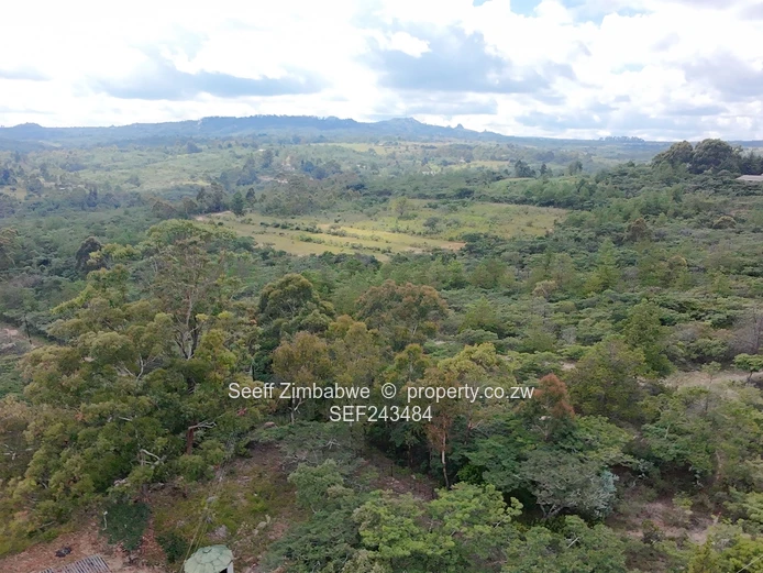 Residential Stand for Sale in Nyanga