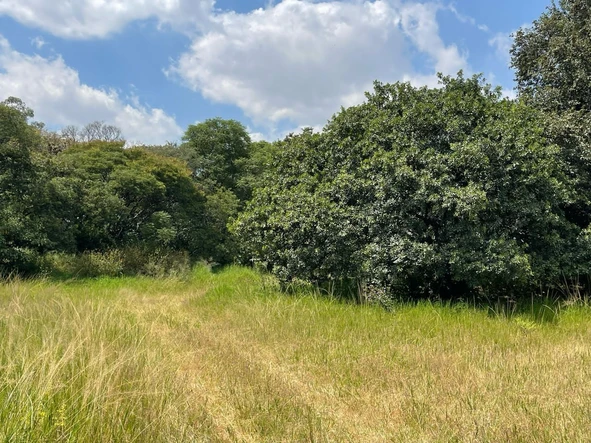 Commercial & Industrial Land