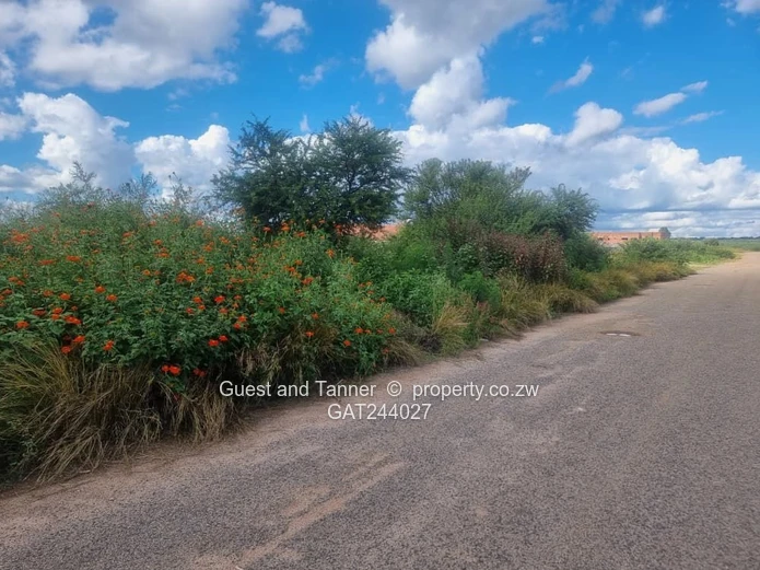 4000m² Willsgrove Stand — Spacious, Green & Ready