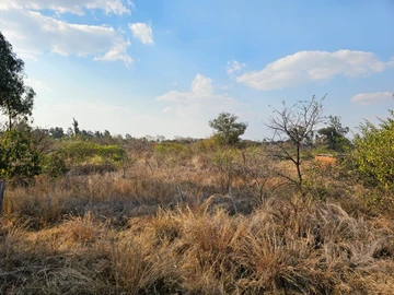Land
