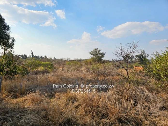 Burnside 1 Acre Residential Stand