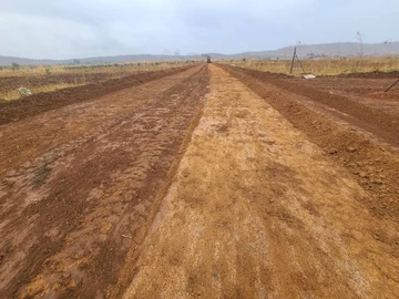 Stands & Residential Land