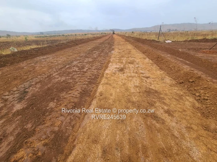 Chinhoyi Mzari stands only 1000usd deposit