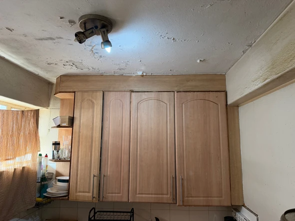 Flat & Apartment
