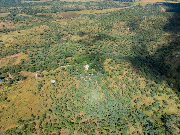Farm & Agricultural Land