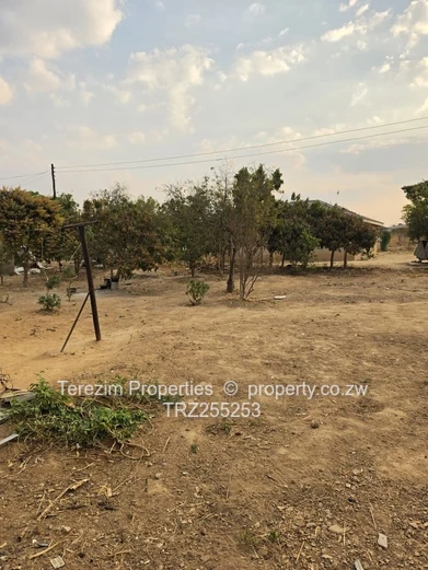 Whitecliff House For Sale 