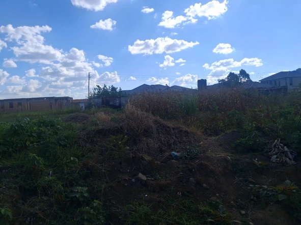 Stands & Residential Land