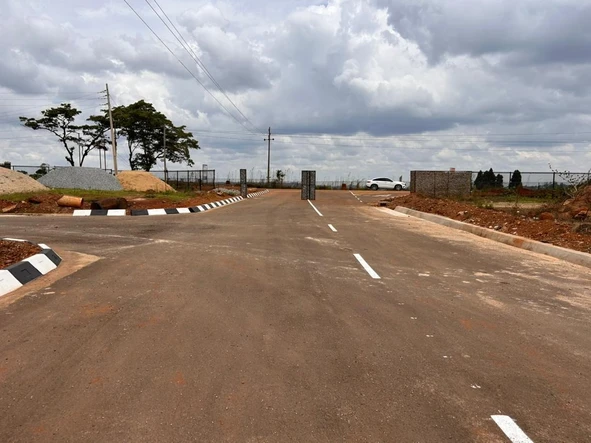 Stands & Residential Land