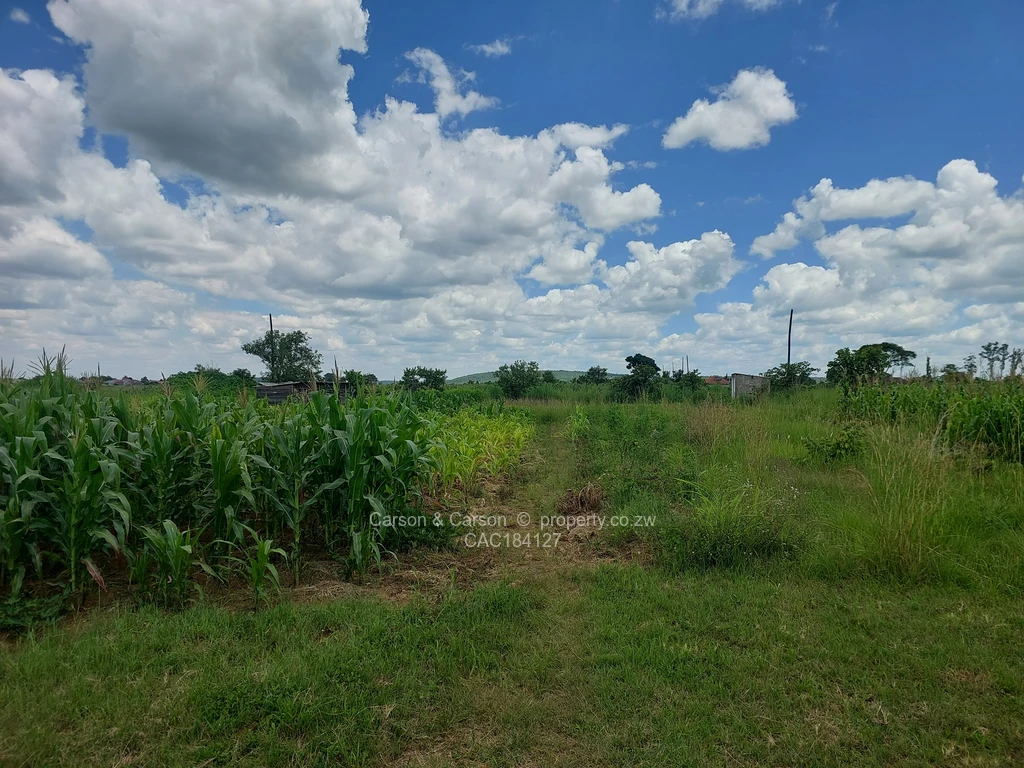 Stands & Residential Land for Sale in Nhowe CAC184127