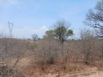 Land