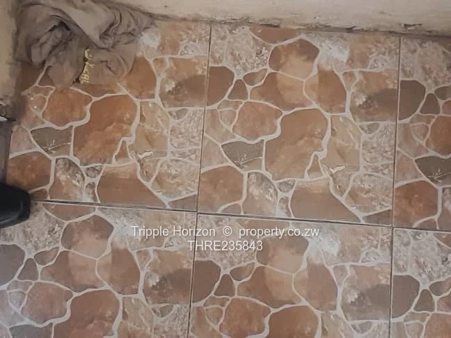 Avenues Bachelor Flat For Sale (Sole Mandate)