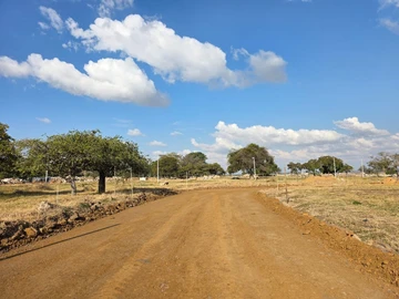 Stands & Residential Land