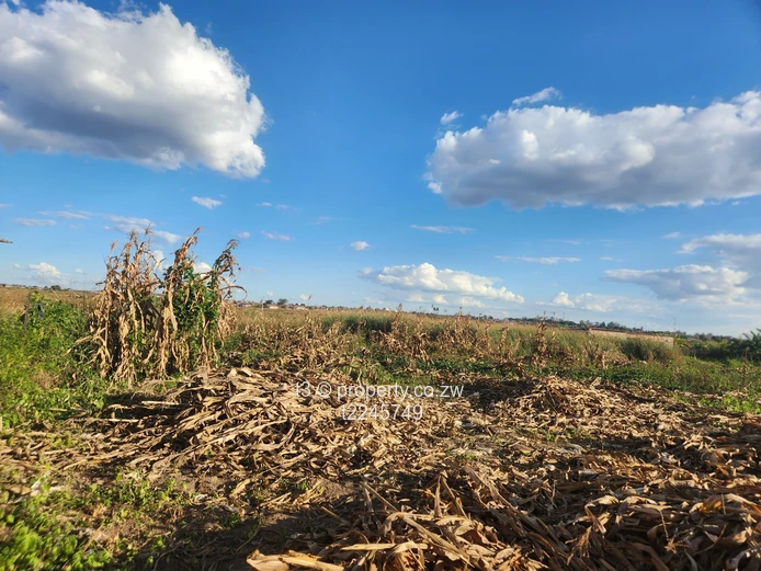 Damofalls Industrial Stand  (Sole Mandate)