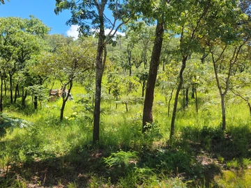 Commercial & Industrial Land