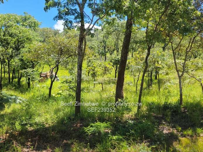 Commercial Land For Sale