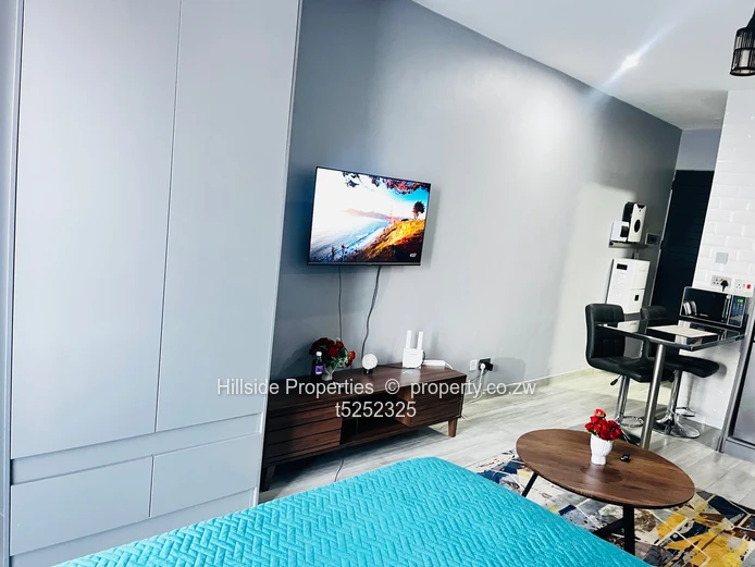 Millennium Heights Studio Apartment  (Sole Mandate)