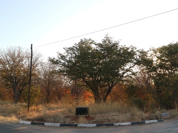 Farm & Agricultural Land