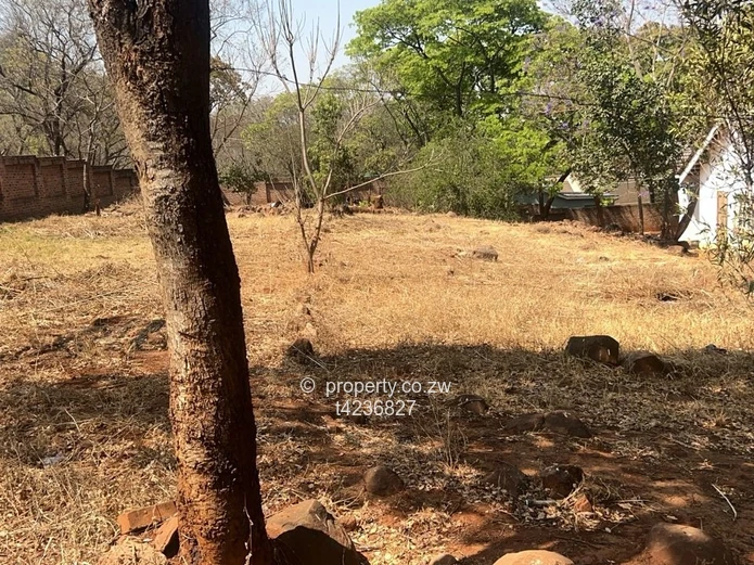 Helensvale house for sale 