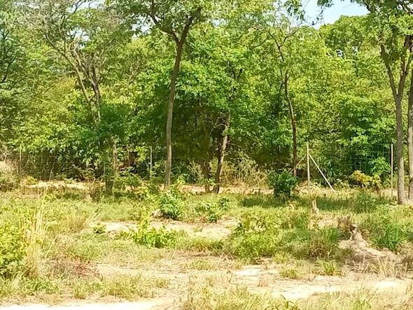 Farm & Agricultural Land