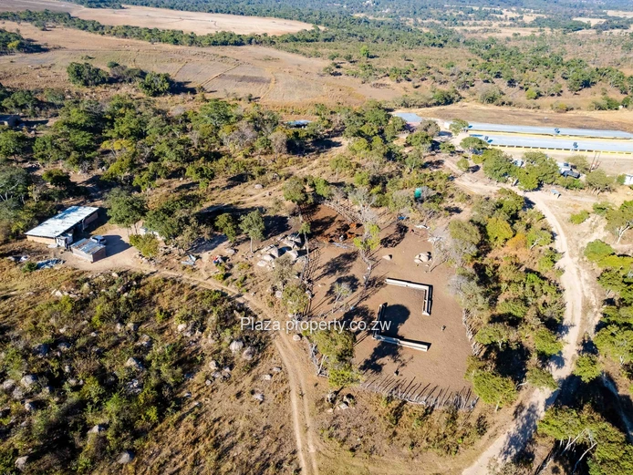 Marondera Prime 29-Hectare Farm – An Outstanding Investment Opportunity