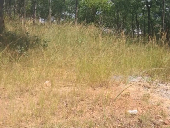 Massive piece of land for Sale in Grange!