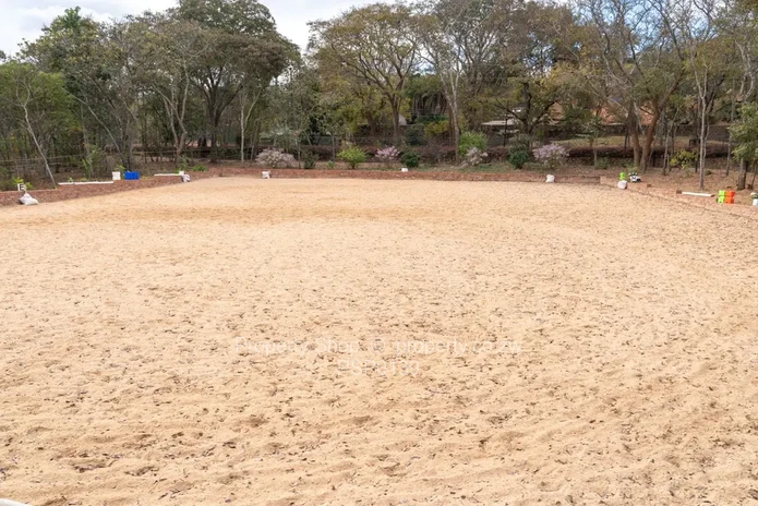 6 Truly magnificent well treed Acres