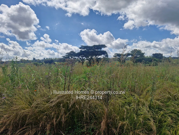 Prestigious Residential Estate