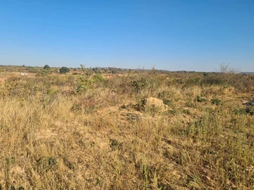 Stands & Residential Land