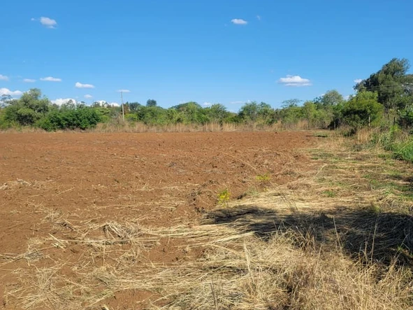 Farm & Agricultural Land