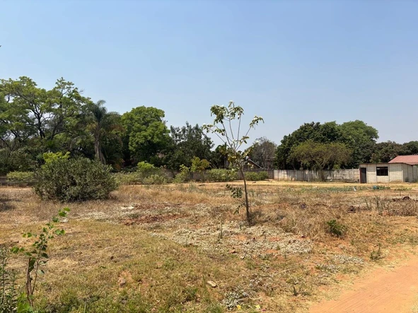 Stands & Residential Land