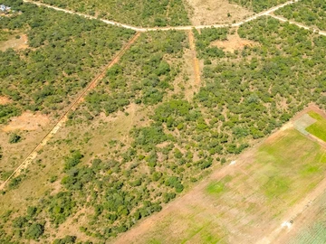 Farm & Agricultural Land