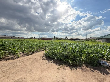 Stands & Residential Land