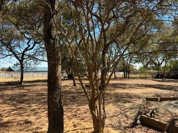 Stands & Residential Land