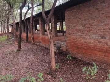 Farm & Agricultural Land