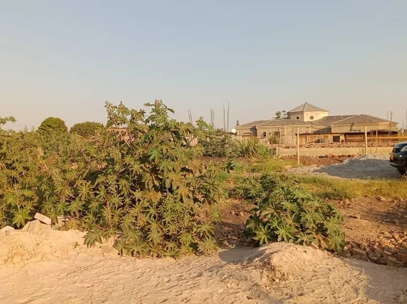 Stands & Residential Land