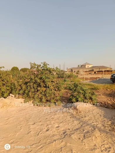 An opportunity not to miss