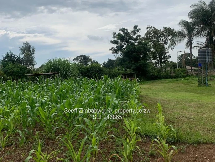 Spacious 4-Bed Marlborough Home on 9,070 m² with a Cottage