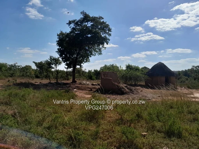 Mhangura River Ranch plot for sale !! (Sole Mandate)