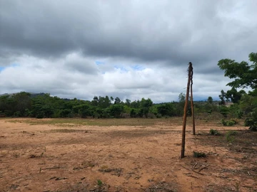 Farm & Agricultural Land