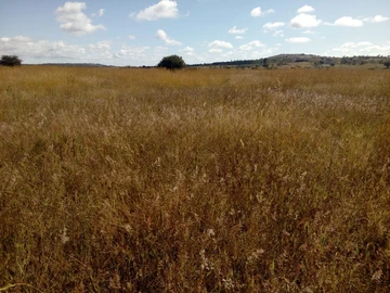 Headlands Chiendambuya Plot for sale 