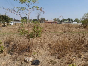 Stands & Residential Land