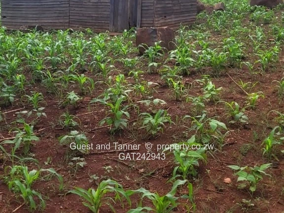 Residential Land For Sale In Crowhill Views